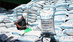 Lượng gạo xuất khẩu giảm 30%
