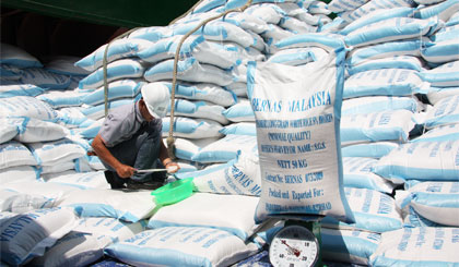 Gạo xuất khẩu giảm đến 30% về số lượng.