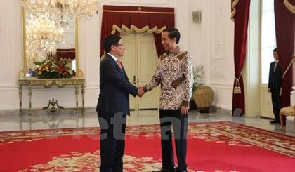 Phó Thủ tướng Phạm Bình Minh chào xã giao Tổng thống Indonesia. Ảnh: Trần Hiệp/Vietnam+