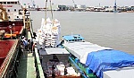 Việt Nam thắng thầu 450.000 tấn gạo xuất sang Philippines