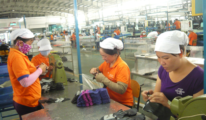 sản xuất giày da xuất khẩu tại Công ty TNHH Freeview Industrial (100% vốn của Đài Loan) ở khu công nghiệp Tân Hương (huyện Châu Thành).