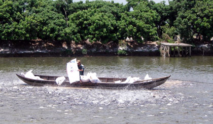 Một điểm nuôi cá tra ở xã Tân Phong, huyện Cai Lậy.