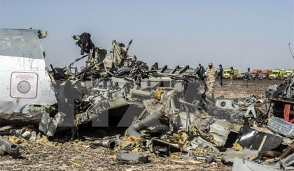 Những mảnh vỡ của máy bay A321 của Nga tại Wadi el-Zolmat, bán đảo Sinai, Ai Cập. Nguồn: AFP/TTXVN