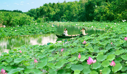 Láng Sen là khu Ramsa thứ 7 của Việt Nam.
