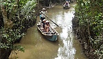 Các điểm du lịch miệt vườn huyện Cai Lậy thu hút du khách dịp Tết