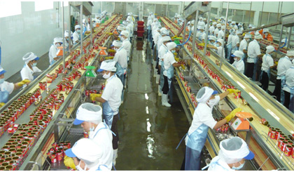 Sản xuất cá hộp Ba Cô Gái tại Công ty TNHH Royal Foods (Khu công nghiệp Mỹ Tho).