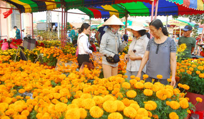 Người dân chọn mua hoa vạn thọ tại Chợ hoa Xuân.