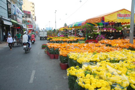Một góc Chợ hoa Xuân trên đường Trưng Trắc (phường 1, TP. Mỹ Tho).