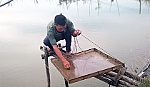 Người nuôi trồng thủy sản cần đăng ký với UBND cấp xã