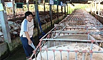 Chị Nguyễn Thị Kim Phượng: Chủ trang trại chăn nuôi thành đạt
