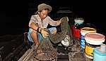 Thăng trầm nghề mò cá ngát