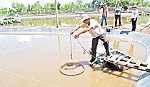 Giải pháp phát triển nuôi thủy sản trên huyện cù lao