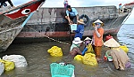 Tân Phú Đông: Từng bước khẳng định vị thế kinh tế biển