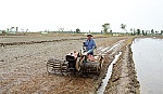 Các huyện, thị phía Đông: Cải thiện nguồn nước cho sản xuất lúa hè thu