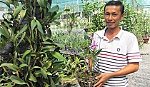 Anh Thái Châu với hoài bão lai tạo một loại lan mang tên mình