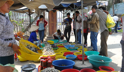Du khách đến mua hải sản ở Khu du lịch biển Tân Thành (huyện Gò Công Đông).