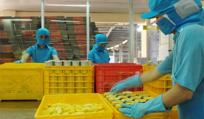 Chế biến nông sản xuất khẩu tại Công ty CP Rau quả Tiền Giang.