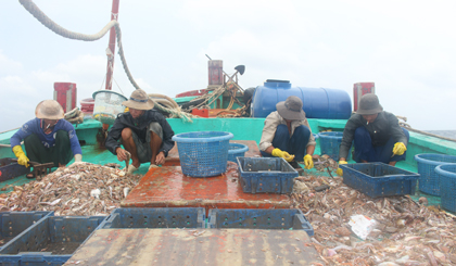 Nhiều ngư dân mong muốn giúp tìm đầu ra cho hải sản.