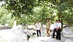 Tân Phong chú trọng phát triển vườn cây ăn trái
