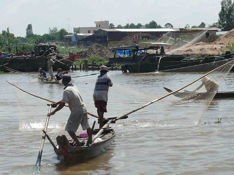 Người dân vớt cá linh trên sông Vĩnh Hội Đông, huyện An Phú, tỉnh An Giang.