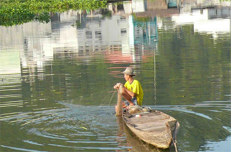Giăng 200 m lưới, ông Nguyễn Văn Bi, xã Vĩnh Hội Đông, huyện An Phú, tỉnh An Giang chỉ được 2 - 3 kg cá một ngày.