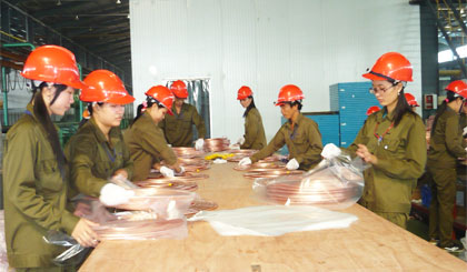 Công nhân đang làm việc tại Công ty TNHH Gia công Đồng Hải Lượng Việt Nam - một trong những dự án đầu tư từ rất sớm vào KCN Long Giang.