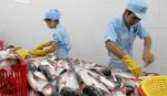 Mỹ chính thức kiểm tra 100% cá da trơn Việt Nam từ ngày 2-8