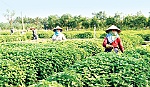 Kim Sơn, Tam Hiệp đạt các tiêu chí xã nông thôn mới