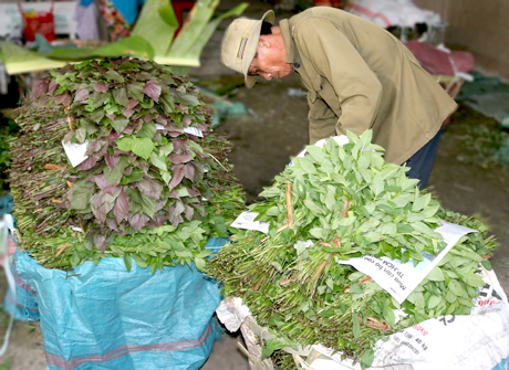 Trước khi vận chuyển đi tiêu thụ ở TP. Hồ Chí Minh và các tỉnh  lân cận, rau màu được đóng cẩn thận vào các bội lớn.