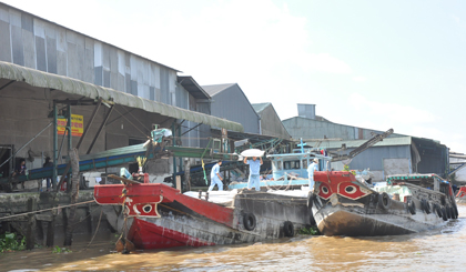A corner of An Thanh industrial cluster in Cai Be district. Photo: HUU CHI