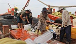 Ngư dân Gò Công ra khơi đầu năm