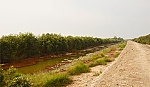 Đồng bằng sông Cửu Long với thử thách 2017