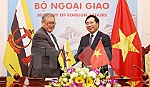 Họp cấp bộ trưởng ngoại giao ủy ban hợp tác Việt Nam-Brunei