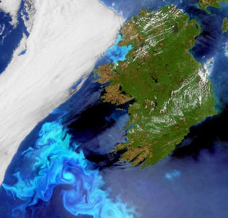 Các sinh vật phù du màu xanh đậm phát triển mạnh ngoài khơi Ireland.