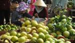 Tien Giang prepares to build fruit park