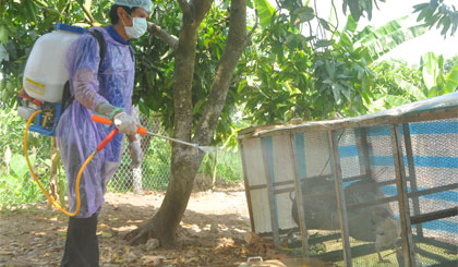 Tiêu độc khử trùng môi trường chăn nuôi tại huyện Cái Bè.