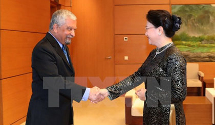 National Assembly Chairwoman Nguyễn Thị Kim Ngân (R) receives Kamal Malhotra, new UN Resident Coordinator and UNDP Resident Representative in Việt Nam yesterday.