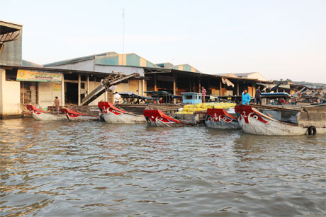 Một góc chợ lúa gạo Bà Đắc (thuộc 2 xã: Đông Hòa Hiệp và xã An Cư của huyện Cái Bè) trên sông.
