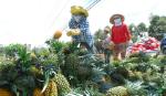 Pineapple rises by more than 1,000 VND per kilogram