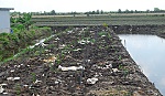 Chôn hàng trăm tấn chất thải trái phép ở xã Mỹ Phước