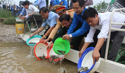 Releasing fry in Thanh Hoa province (Photo: VNA)