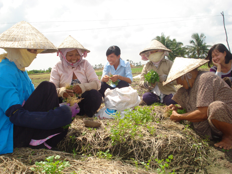 Phụ nữ tham gia sản xuất nông nghiệp.