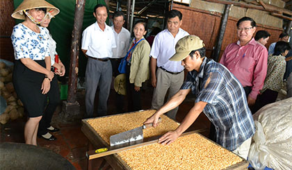 Đại biểu khảo sát thực tế tại làng nghề làm cốm, kẹo tại làng cổ Đồng Hòa Hiệp