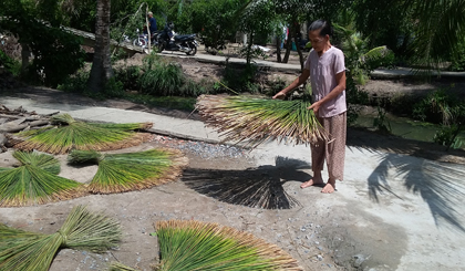 Đương bàng - nghề truyền thống mang lại thu nhập cho nhiều phụ nữ huyện Tân Phước những lúc nông nhàn. 				   	            Ảnh: H. NGA