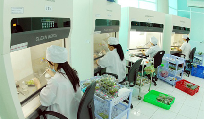Inside a laboratory for tissue cultivation in the Agricultural Hightech Park of HCM City (Source: VNA)