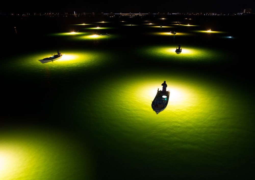 Ánh sáng từ các tàu thuyền thu hút cá chình Shirasu vào ban đêm ở Tokushima, Nhật Bản. (Nguồn: NatGeo)