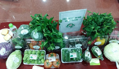 Organic farm produce displayed at an exhibition in Đa Nang. Many organic farms were set up following a start-up programme last year. 