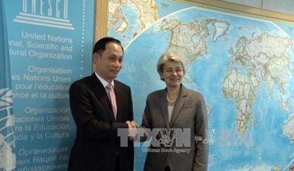 UNESCO Director General Irina Bokova received Deputy Foreign Minister Le Hoai Trung (left) (Source: VNA)