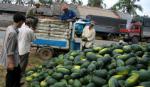 Opportunities for Vietnam's fruits, vegetables export
