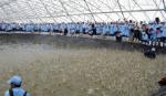 PM approves establishment of hi-tech shrimp farming area in Bac Lieu